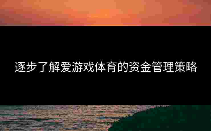 逐步了解爱游戏体育的资金管理策略
