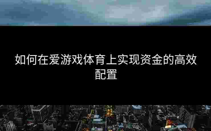 如何在爱游戏体育上实现资金的高效配置
